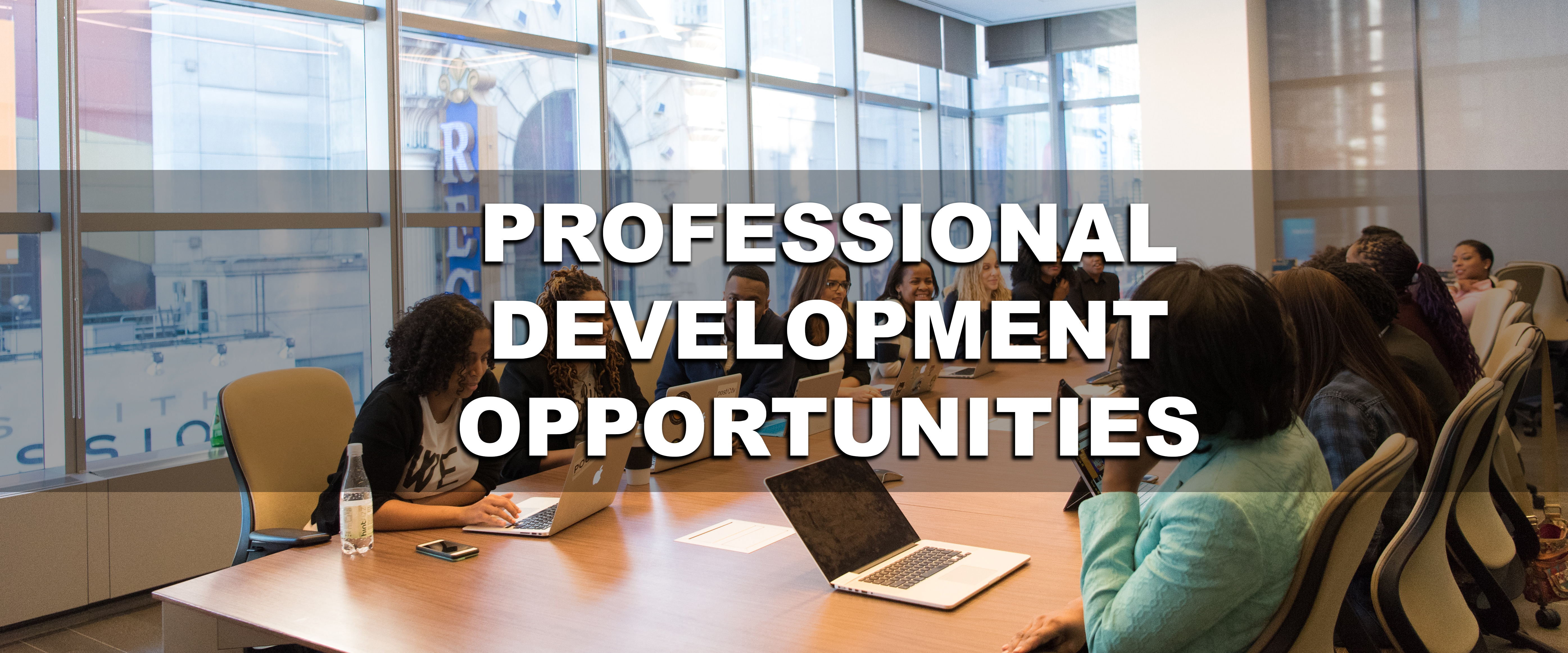 Professional Development Opportunities